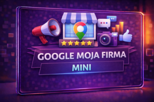 Google (GMF) MINI
